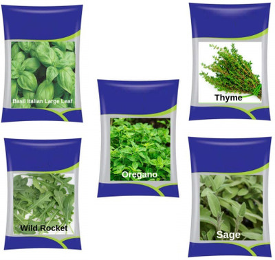CYBEXIS Thyme, Oregano, Italian Basil, Sage, Wild Rocket Seed(10 g)