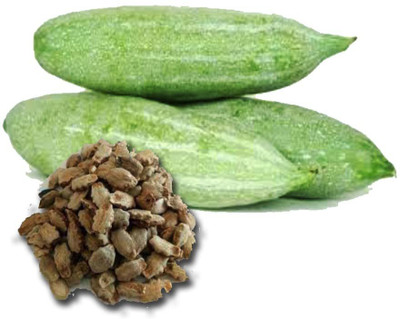 WILLVINE XL-117 Snake Gourd, Serpent Gourd, Chichinda Seeds-100 Seed(100 per packet)