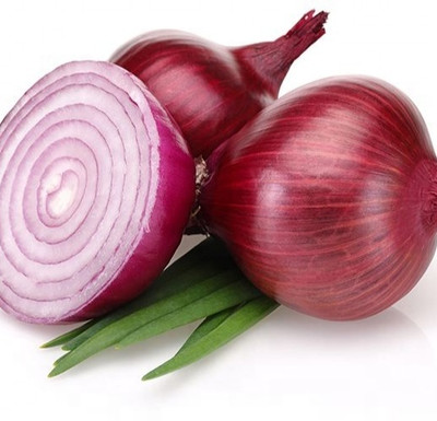 Quentova Nasik Onion-GBPUT-7X Seed(250 per packet)