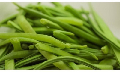 Avysa Cluster Beans (Gawar) Seed(80 per packet)