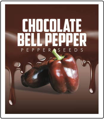 KNESSiN Non GMO Chocolate Capsicum Vegetable Seeds For Planting-(200 Seeds) Seed(200 per packet)