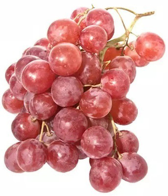 PASCLE Super Sweet Red Grape Seed(100 per packet)
