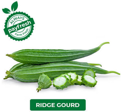 Paudhaa F1 best quality RIDGE GOURD Seed(16 per packet)