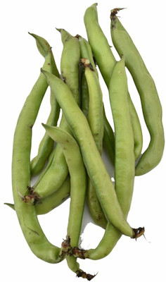 WANCY Broad Beans बाकला फली Vegetable Seed(40 per packet)