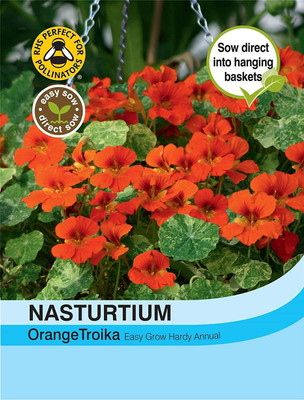 CYBEXIS Flower - Nasturtium Orange Troika Seed(50 per packet)