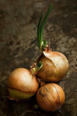 Biosnyg Onion Orange Seeds-2500 Seeds/10gm Seed(2500 per packet)