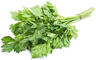 ENTENT Leafy Chinese Celery (APIUM GRAVEOLENS var. SECALINUM) Seed(80 per packet)