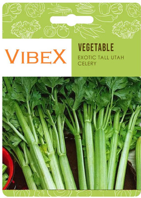 Biosnyg Exotic Tall Utah Celery Seeds-[1000 Seeds] Seed(1000 per packet)