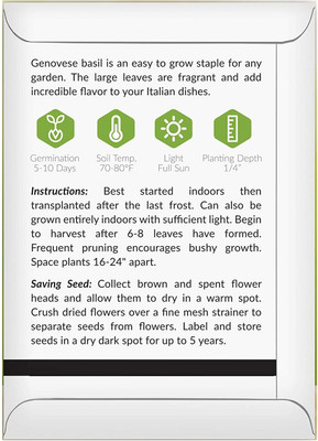 VibeX XL-12 - Basil Sweet Genovese Seed(4500 per packet)