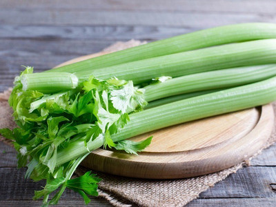 ENTENT Organic Celery-Tall Utah Seed(120 per packet)