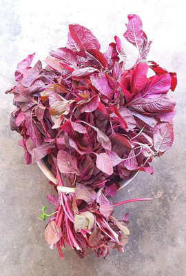 ASPEN Red Cheera Seeeds | Red Spinach Amaranthus Seeds | Lal Saag Seed(10000 per packet)