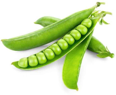 CRGO PEA , MATAR Seed(20 per packet)