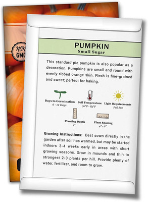 WILLVINE Small Sugar Pumpkin Seeds Seed(1250 per packet)