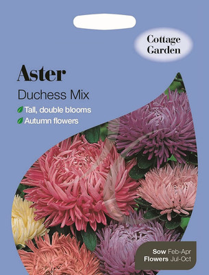 CYBEXIS Aster Duchess Mix Seed(50 per packet)