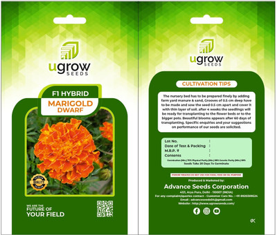 Finiox AGRIMAX GARDENS MINIBLOOM HYBRID MARIGOLD DWARF MINIBLOOM SEEDS & PLANAT Seed(40 per packet)
