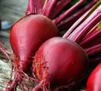 MYLAWN Organic Red Beauty Beetroot Seed(1000 per packet)