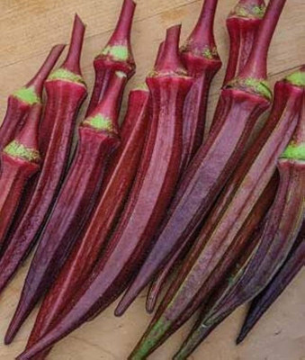 BJUBAS hybrid red lady finger seeds pack of 12 Seed(12 per packet)