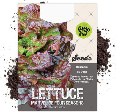 VibeX GBPUT-78 - Marvel of Four Seasons Lettuce - (450 Seeds) Seed(450 per packet)