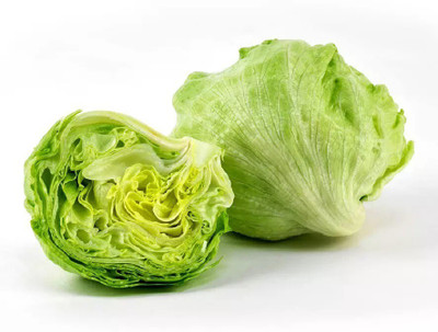 Quentova Iceberg lettuce-HUA-22G Seed(300 per packet)
