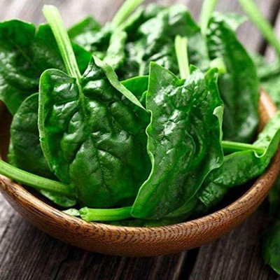 VibeX NBIR-59 - Spinach Avon F-1 Hybrid - (2250 Seeds) Seed(2250 per packet)