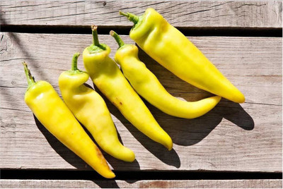 CYBEXIS Good Germination Hungarian YELLOW WAX HOT Chilli Seeds1200 Seeds Seed(1200 per packet)