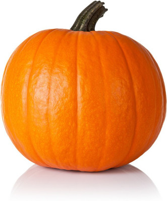 VNR Fresh Vnr Pumpkin Vegetable Hybrid Seed(100 per packet)