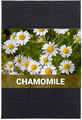 CYBEXIS Chamomile Flower Seeds400 Seeds Seed(400 per packet)