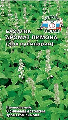 WILLVINE Basil Flavor Lemon (for Cooking)-[2000 Seeds] Seed(2000 per packet)