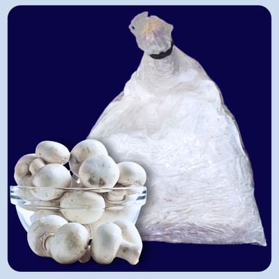 OrganicO Button Mushroom Spawn Seed (200gm + 2 PP bags + Manual) Organic First Generation Seed(200 g)