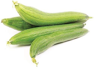 KNESSiN Open-Pollinated Desi Sponge Gourd Vegetable Seeds for Home Garden (500 Seeds) Seed(500 per packet)