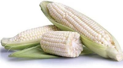 Qualtivate PUAS-9A Waxy White Corn Vietnamese Bap NEP Nu Seed(400 per packet)