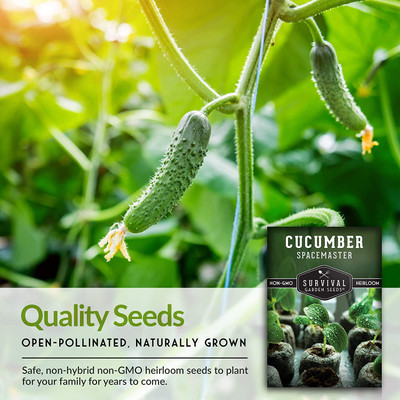 VibeX ® XXL-390 Spacemaster Cucumber Seed for Planting Seed(200 per packet)