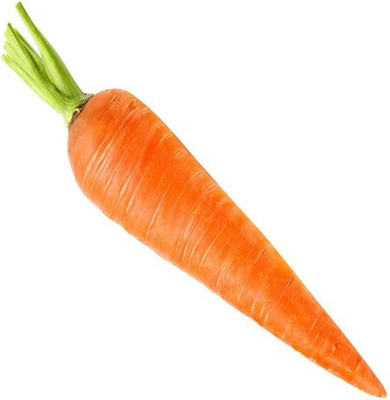 BDSresolve Carrot vegetable seeds Pack of 182 Seed(182 per packet)