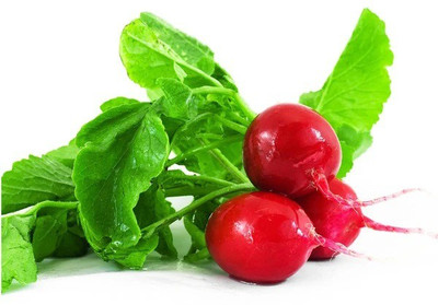 CYBEXIS RADISH RED ROUND SEEDS800 Seeds Seed(800 per packet)