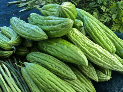 VibeX LX-81 - Bitter Gourd - (100 Seeds) Seed(100 per packet)