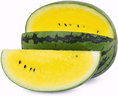 WILLVINE Hybrid Yellow Watermelon Seeds-[100 Seeds] Seed(100 per packet)
