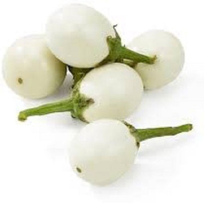 CYBEXIS Vegetable Brinjal White Round(सफेद गोल बैंगन ) seeds For Gardening(2500 Seeds) Seed(2500 per packet)