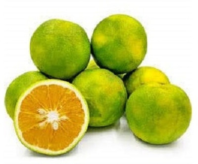 WILLVINE Sweet Lemon Fruit - Citrus Limetta Seeds-[250 Seeds] Seed(250 per packet)