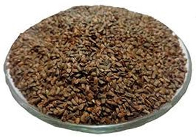 WILD FOREST TALMKHANA Seed(100 per packet)