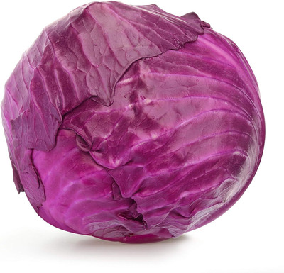 WILLVINE MAH -XII Cabbage Red Acre Colorful Heading [50g] Seed(15000 per packet)