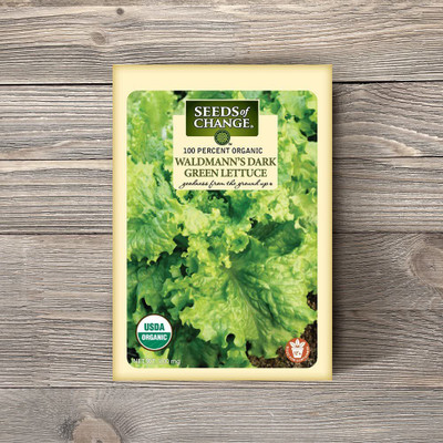 CYBEXIS NBIR-42 - Waldmann's Lettuce Green - (1350 Seeds) Seed(1350 per packet)