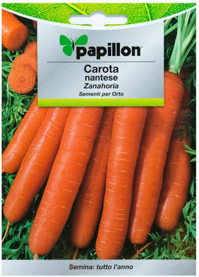 CYBEXIS Nantes Carrot Seeds Early4000 Seeds Seed(4000 per packet)