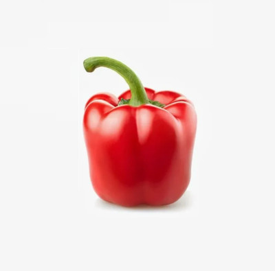 VASUDHA Capsicum Red (Shimla Mirch) / शिमला मिर्च लाल Seed(100 per packet)