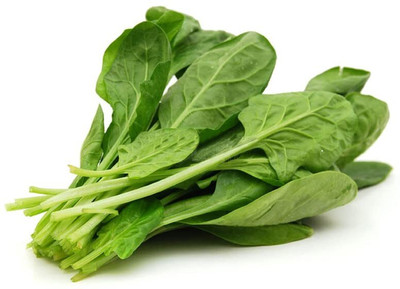 Qualtivate RES-2A Hybrid Spinach Chitra Seed(300 per packet)