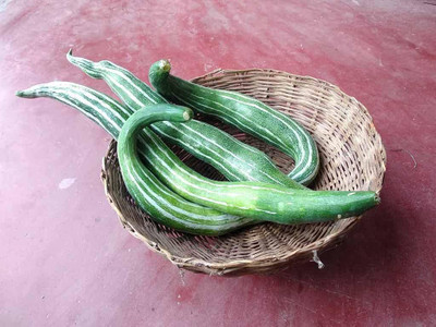 Qualtivate JXL-8AT Snake Gourds Seeds Seed(25 per packet)