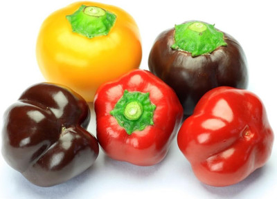 KNESSiN Capsicum Mixed Seed(50 per packet)