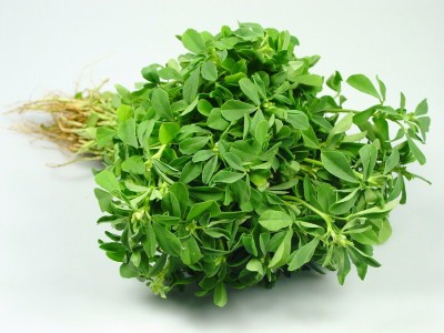 CEZIUS Green Leafy METHI Fenugreek Desi ( (मैथी )-2J Seed(250 per packet)