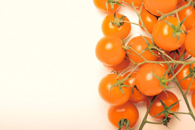 Biosnyg Non GMO Sunsugar Tomato Summer Vegetable Seeds For Planting - (2000 Seeds) Seed(2000 per packet)
