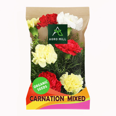 AGRO MILL CARNATION/DIANTHUS MIXED PREMIUM QUALITY FLOWER Seed(20 per packet)