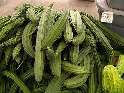 BDSresolve Ridge gourd seeds hybrid f1 pack of 15 Seed(15 per packet)